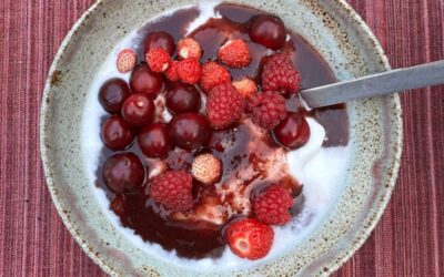 Frisse kokosyoghurt met fruit