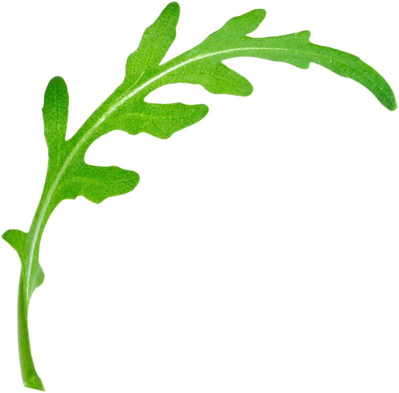 3-daagse Rambam detox